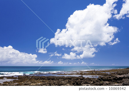 Taiwan Attractions Taiwan Attractions 10869342