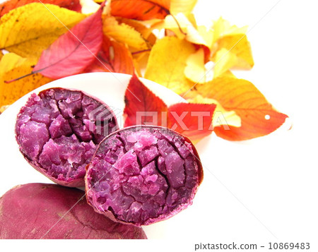 白薯的可口白薯秋天圖像 10869483