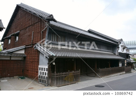 有鬆的街道 10869742