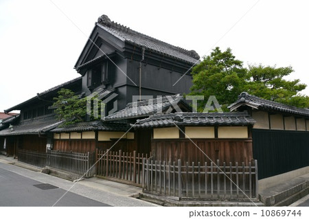 有鬆的街道 10869744