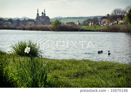 Velehrad basilica and lake with pair of ducks 10870186