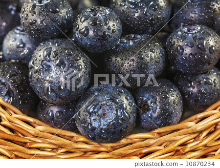 Fresh blueberries with water drops in wicker basket. Fresh blueberries with water drops in wicker basket. 10870234
