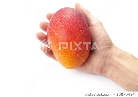 Rough mango 10870454