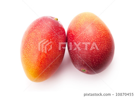 粗糙的芒果 粗糙的芒果 10870455