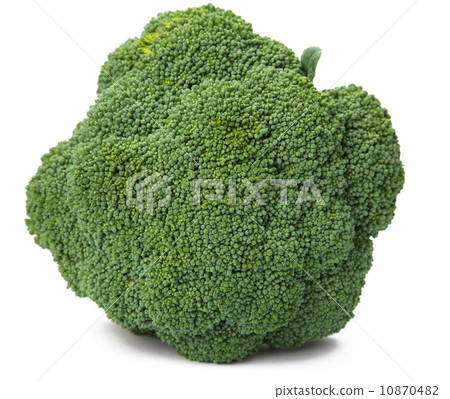 broccoli broccoli 10870482