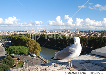 Sant'Angelo城堡的海鷗 10870532