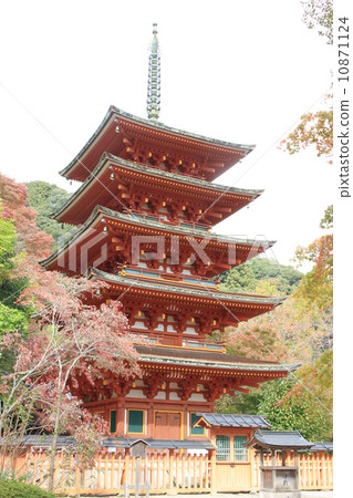 哈斯神廟 10871124