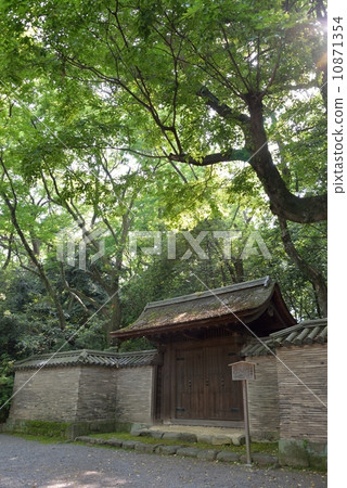Kiyoshiyukimon Kiyoshiyukimon 10871354