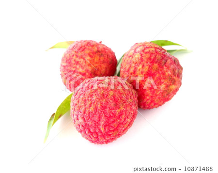 Litchi Litchi 10871488