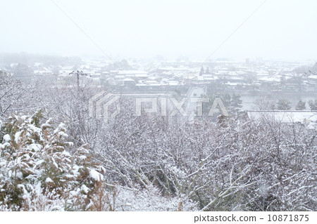 Snow Arashiyama 10871875