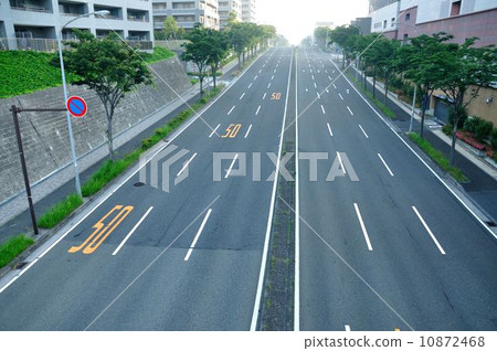 清晨主幹道 10872468