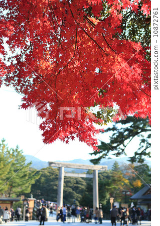 伊勢神社秋葉 10872761