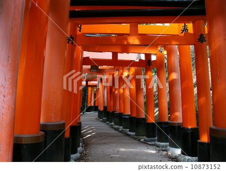 Senbon Torii Senbon Torii 10873152