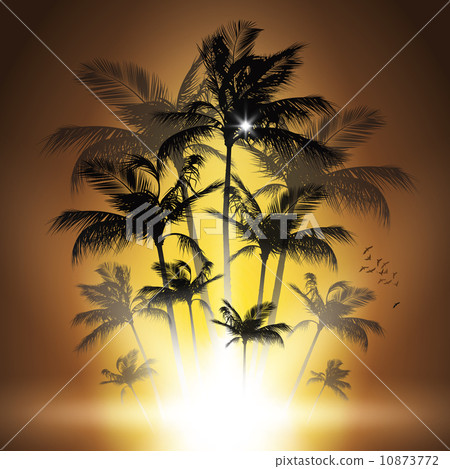 Palm tree at sunset 10873772