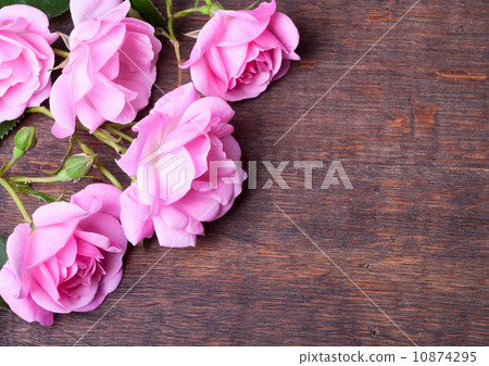 Roses Roses 10874295