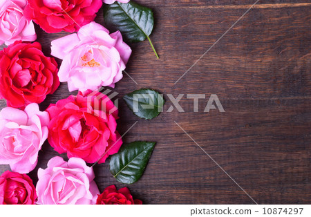 Roses 10874297
