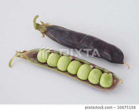 圖坦卡蒙 圖坦卡蒙 10875188