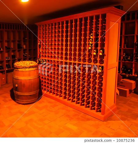 modern wine cellar 10875236