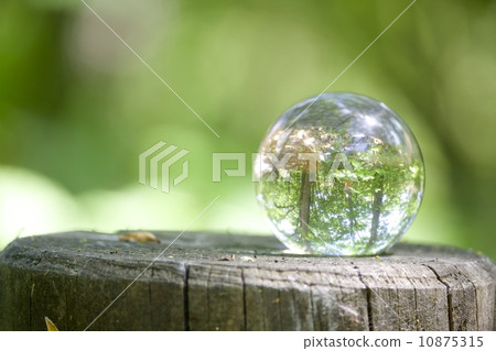 Fresh green and crystal ball Fresh green and crystal ball 10875315
