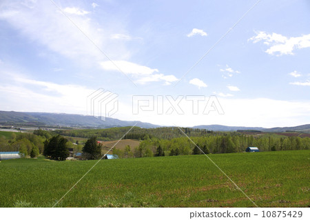 Kenbuchi-cho movie Location hill of view location 10875429