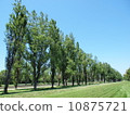 Maeda Forest Park 10875721