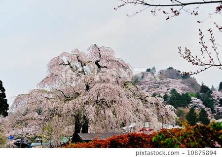 Kakunoda travelogue 10875894