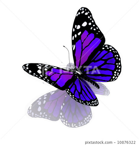 Isolated butterfly of bright color on a white background Isolated butterfly of bright color on a white background 10876322