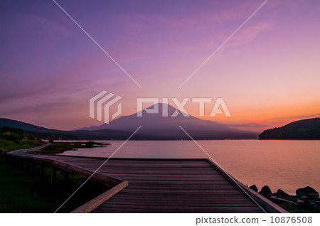 Fuji and walking path (Yamanakako / evening scenery) 10876508