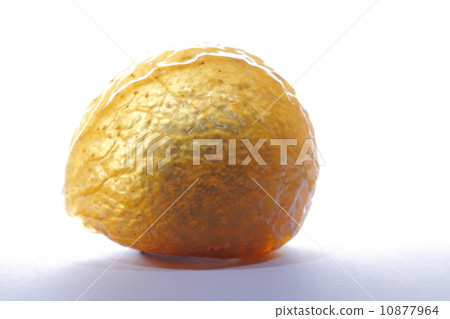 骸車果 骸車果 10877964