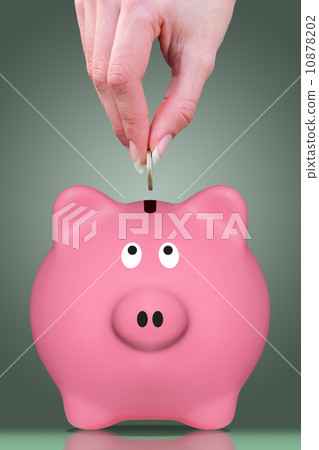 Fingers and piggy bank Fingers and piggy bank 10878202
