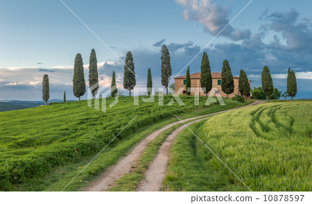 typical tuscan landscape 10878597