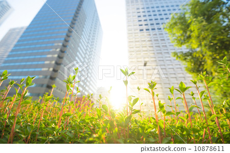 城市生長的草 10878611