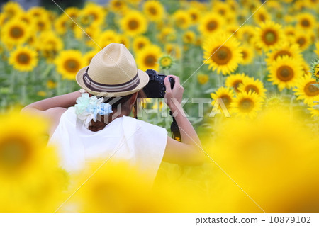 shot, photography, shooting 10879102