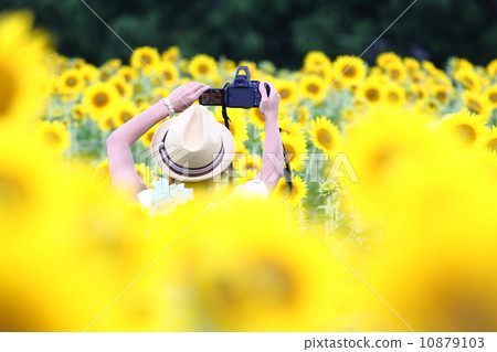 shot, photography, shooting 10879103
