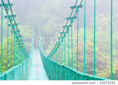在雨林的吊橋 在雨林的吊橋 10879283
