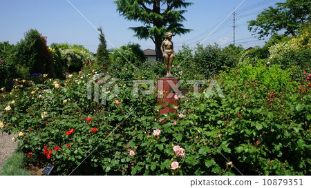 Roses and girls bronze statues at Ippuki Park 10879351