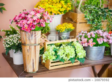 flowers flowers 10879392