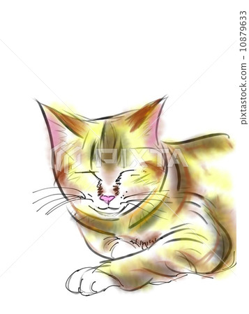 Cat's illustration 10879633