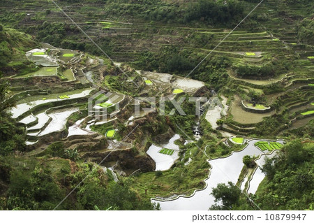 Banauei Philippines Banaue Rice Terraces 10879947