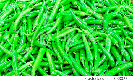 Pile of Thai Green Chilli Pile of Thai Green Chilli 10880223