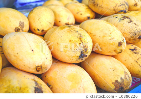 Thai Mango Thai Mango 10880226