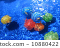 water baloon 10880422