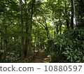 A walk 10880597