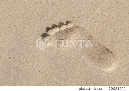 Man footprint in wet yellow sand on the beach 10881221