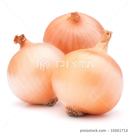 Gold onion vegetable bulbs Gold onion vegetable bulbs 10881718