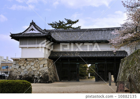 佐賀城堡的大門 佐賀城堡的大門 10882135