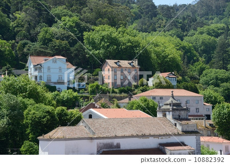 葡萄牙里斯本辛特拉宮 10882392