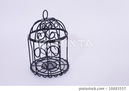 鳥籠 10883557