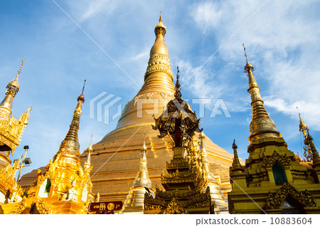 shwedagon 10883604