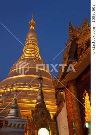 shwedagon 10883608